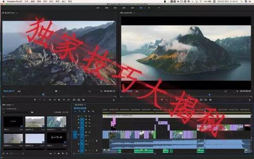 国外摄影师爆料网站视频,独家视频内容深度解析  第1张