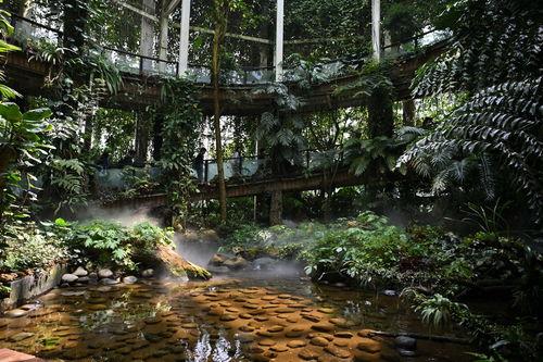 昆明植物园爆料视频大全,探秘植物王国奇观 第2张 昆明植物园爆料视频大全,探秘植物王国奇观 第2张